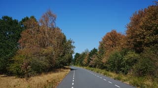Droogte zichtbaar 