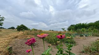 Erg droge grond in de tuinen, regenbuien wolken op achtergrond zeer welkom