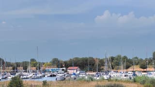 jachthaven 