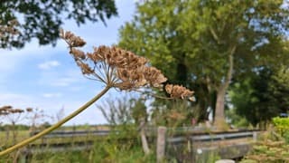 Een prima zomerdag 
