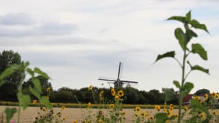 Wisselvallig boven Colijnsplaat