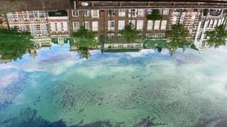 Huizen gespiegeld in het groene water van het Spaarne