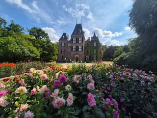 bloemenpracht ondanks droogte