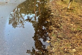 Plas met reflectie 