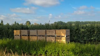 Kratten staan al klaar voor de appelpluk