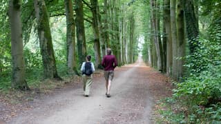 Prima wandelweer vanmiddag in Neerijnen