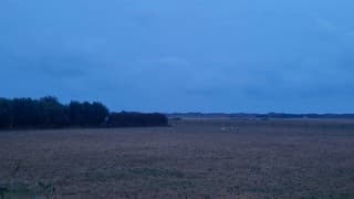 Grijs en nat op Texel 