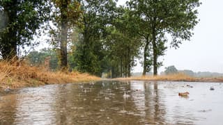 Een regenachtige ochtend