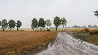 Een regenachtige ochtend