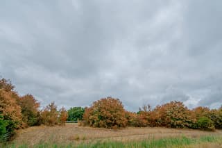 Welkome regen