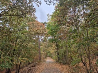 Herfst in de zomer