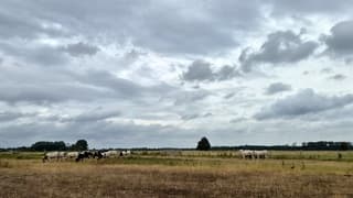 Bewolkt en wind