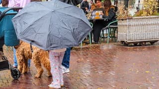 Regen, onder moeders paraplu 