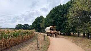 Bewolking met af en toe een buitje, in de huifkar is het droog