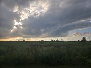 Oostvaardersplassen