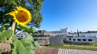 Zonnige ochtend in de haven van Drimmelen 