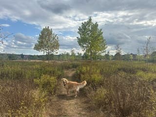 Tussen de buien door 