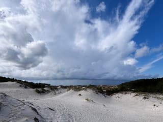 Bui boven Zee (Hargen/Schoorlse duinen)