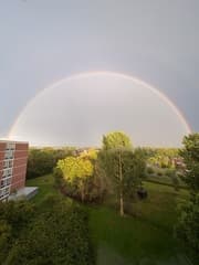 Regenboog