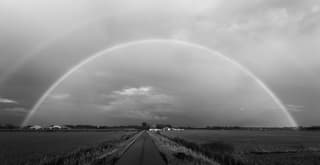 zwart wit regenboog