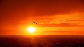 ONDERGAANDE ZON