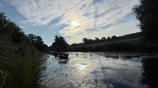 Waterig zonnetje