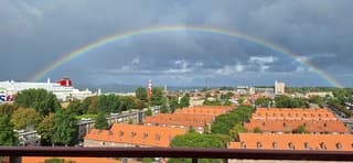 regenboog