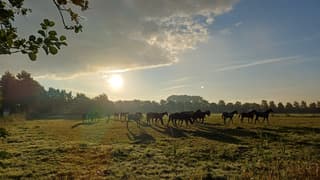 Zonsopkomst