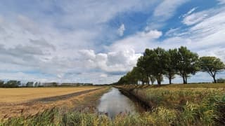 Zon, stapelwolken en sluierbewolking