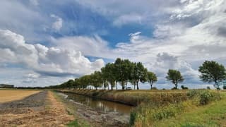 Zon, sluierbewolking en stapelwolken