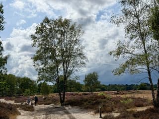Wandelweer 
