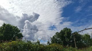 Bewolking 