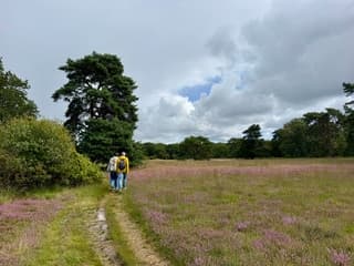 Bewolkt op de heide.