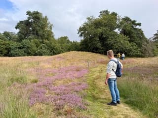 Wandelweer op de heide.