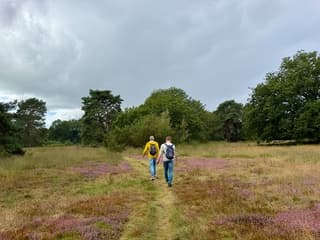 Wandelweer over de heide.