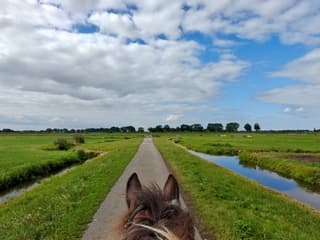 Mooi weer voor een buitenritje 