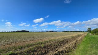 Zonnig 