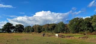 Stapelwolken 