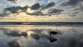 Prachtige avond in Noordwijk aan Zee. 