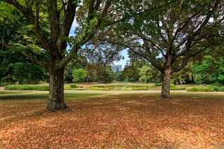 Sprengenpark