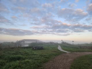 Dauw in Sneek