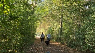 Wandelen in het bos rondom stelleplas