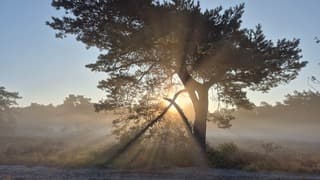 Mistige start vanmorgen 