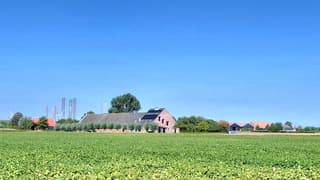 zonnig strak blauwe lucht bij de meestoof 