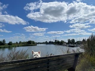 Blauwe lucht en wolkjes 