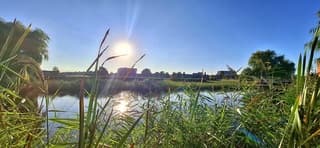 Heldere avondzon in Beverwijk vanavond 