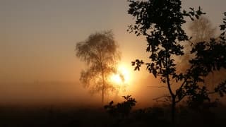 Mistige zonsopkomst 