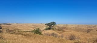 Strak blauwe lucht, zon en wind. Ameland 