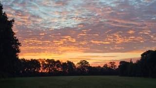 Rode lucht