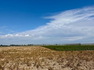 Bewolking en zon boven aardappelakker.
